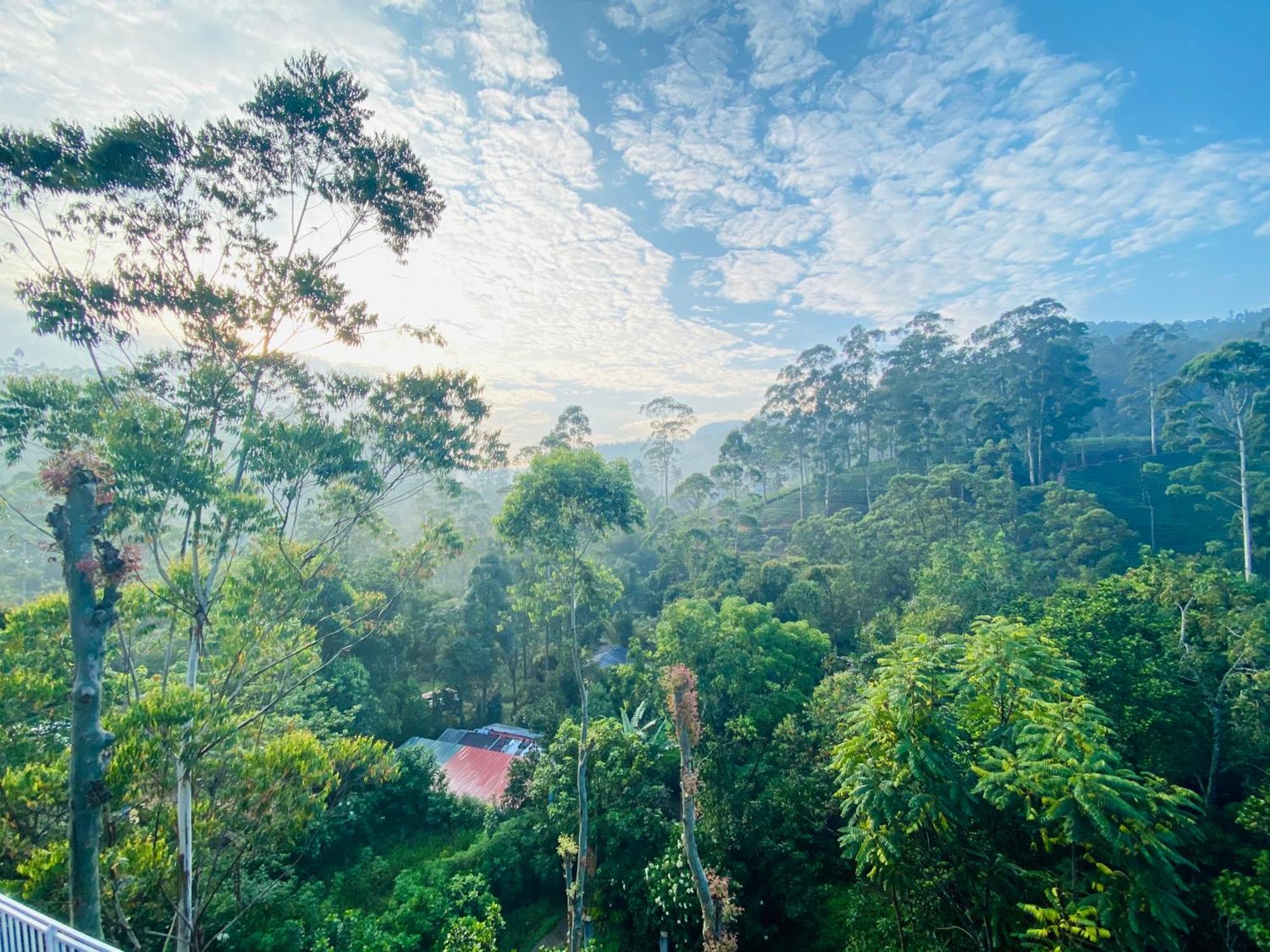 Adams Peak Inn Nallathanniya Exterior foto